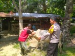 Bhabinkamtibmas Polsek Pasir Penyu Dorong Warga Manfaatkan Pekarangan untuk Perkuat Ketahanan Pangan