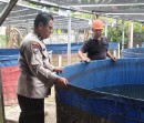 Bhabinkamtibmas Polsek Pasir Penyu Dampingi Kelompok Tani Ikan, Dukung Ketahanan Pangan Nasional