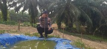 Persiapan Embung Air untuk Tanaman Jagung Pipil, Polsek Minas Dukung Ketahanan Pangan Nasional di Minas Barat