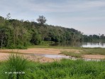 Satu-Satunya Kawasan Hutan yang Tersisa di Rokan Hulu Terancam Punah Akibat Ulah Oknum Rakus Perambah Hutan
