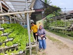Bhabinkamtibmas Kelurahan Sekar Mawar Dorong Warga Kembangkan Pertanian Pekarangan untuk Perkuat Ketahanan Pangan