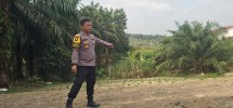 Lahan Setengah Hektare Disiapkan untuk Jagung Pipil, Polsek Minas Turun Dampingi Petani