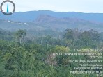 Hutan Tersisa di Rokan Hulu Terancam Dirambah, Aktivis Lingkungan Minta Penegakan Hukum dan Evaluasi KPH