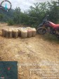 Diduga Caplok Lahan Warga Tanpa Ganti Rugi, Masyarakat Rokan Hulu Desak BPN Tunda HGU PT Anugrah Niaga Sawindo