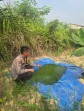 Polsek Minas Dukung Ketahanan Pangan, Kelompok Tani Minas Barat Siapkan Embung untuk Lahan Jagung