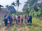 Jagung Pipil di Tanjung Gading Tumbuh Subur, Polsek Pasir Penyu Optimistis Dukung Ketahanan Pangan Nasional 2026