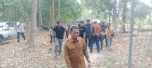 Pemkab Rohul Mulai Kajian Pembangunan Kembali Istana Raja Rambah, Upaya Menghidupkan Kembali Jejak Sejarah Luhak Rambah