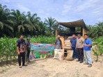 Dukung Swasembada Pangan Nasional, PT Arara Abadi Salurkan Bantuan Pupuk untuk Kelompok Tani di Minas
