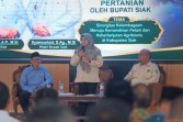 Pemkab Siak Perjuangkan Akses Teluk Lanus, Genjot Potensi Pertanian 400 Hektare