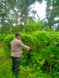 Bhabinkamtibmas Desa Pasir Bongkal Aktif Dukung Ketahanan Pangan Nasional, Warga Didorong Optimalkan Lahan Pekarangan