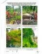 Tim Gabungan DLH Rokan Hulu dan Aliansi Masyarakat Turun Gunung: Verifikasi Lapangan Dugaan Pencemaran Lingkungan oleh PT. KSM di Teluk Aur