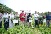 Bupati Siak Afni Apresiasi Pemanfaatan Dana Desa untuk Ketahanan Pangan, Dorong Penguatan Ekonomi Masyarakat