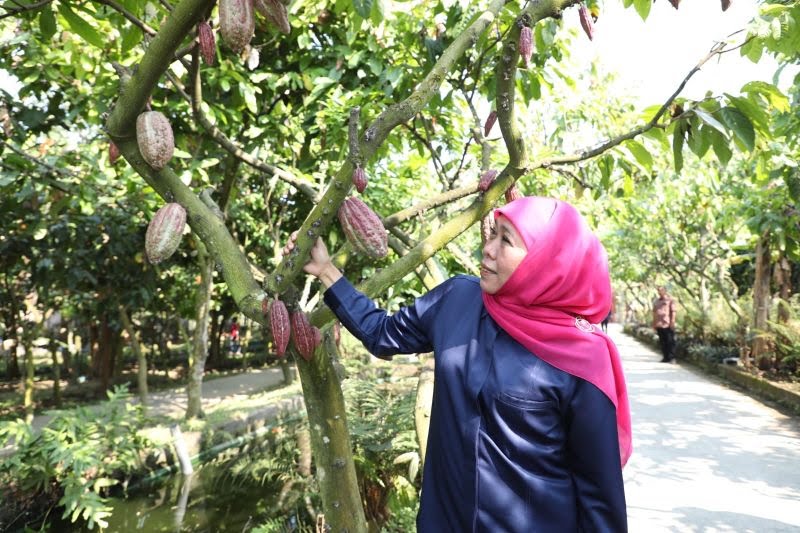 Gubernur Jatim Minta Daerah Kembangkan Potensi Ekonomi Desa