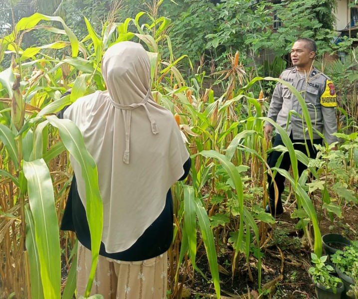Bhabinkamtibmas Polsek Pasir Penyu Sambangi Petani Jagung, Perkuat Program Ketahanan Pangan Nasional