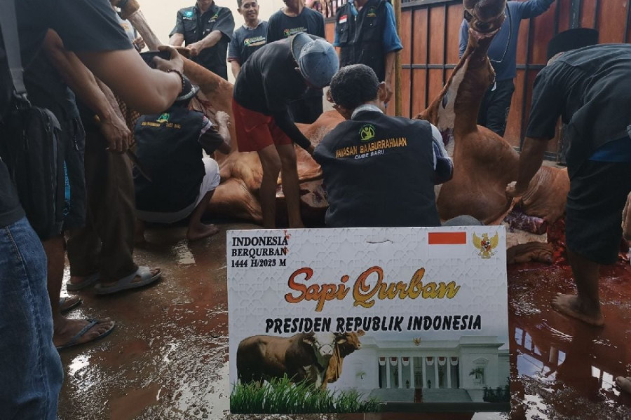 Sapi Kurban dari Jokowi Disembelih di Desa Ombe Lombok Barat, Awalnya Dikira Hoaks