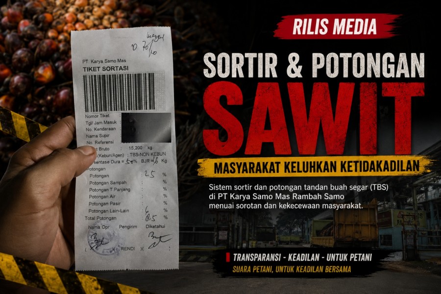 Sortir dan Potongan Buah Sawit di PT KSM Rambah Samo Diduga Memberatkan Masyarakat, Diminta Ada Evaluasi