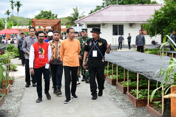 Jokowi Apresiasi Desa Berdaya Taman Inspirasi Waibu Binaan PLN