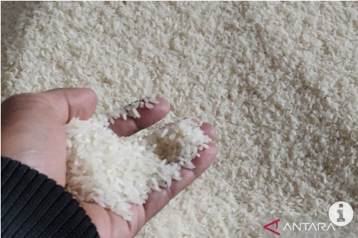 Hoaks! Video pabrik pembuatan beras palsu dari plastik