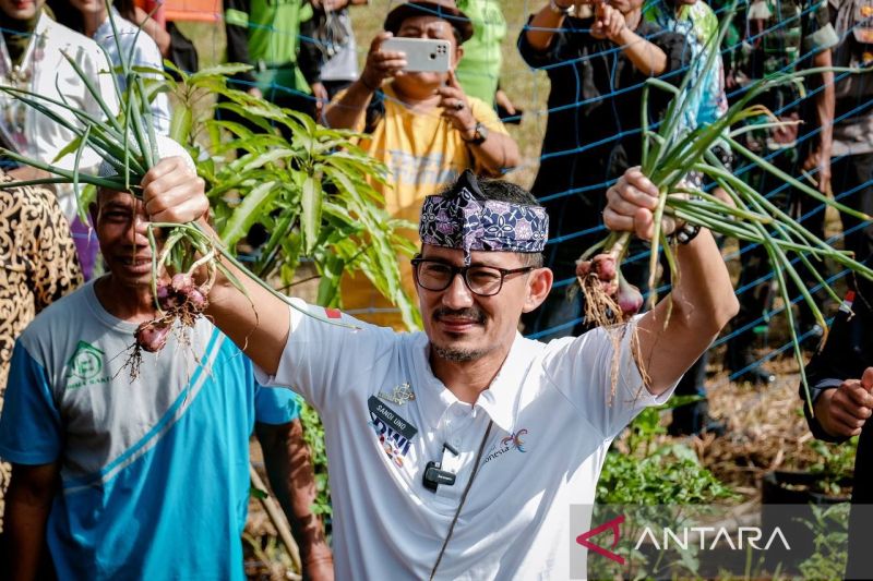 Sandiaga: Kegiatan bertani di Desa Selamanik Ciamis jadi daya tarik wisata