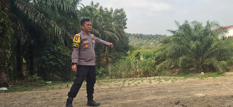 Lahan Setengah Hektare Disiapkan untuk Jagung Pipil, Polsek Minas Turun Dampingi Petani