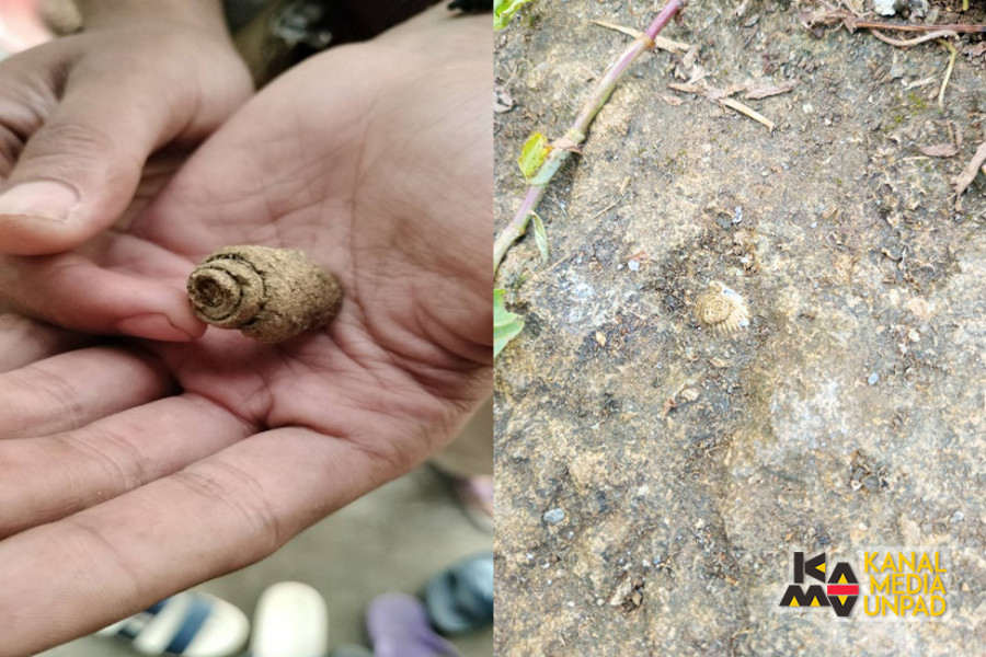 Mahasiswa KKN Unpad Temukan Dua Fosil di Desa Bangunkarya, Pangandaran