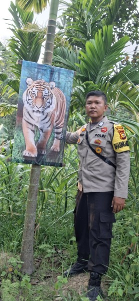 Polsek Minas Cek Perkembangan Jagung Ketahanan Pangan, Tanaman Terkendala Hama Monyet