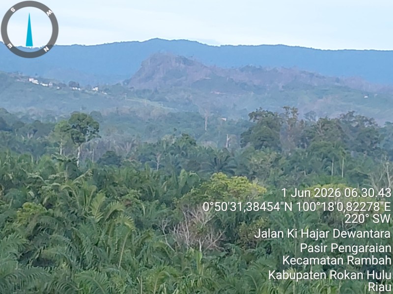 Hutan Tersisa di Rokan Hulu Terancam Dirambah, Aktivis Lingkungan Minta Penegakan Hukum dan Evaluasi KPH
