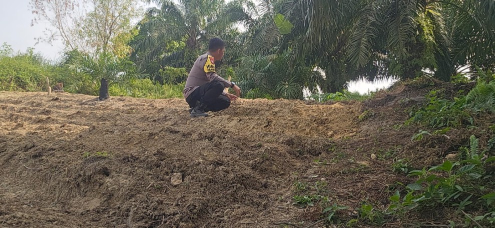 Polsek Minas Dampingi Kelompok Tani Siapkan Lahan Jagung Pipil Seluas Setengah Hektare