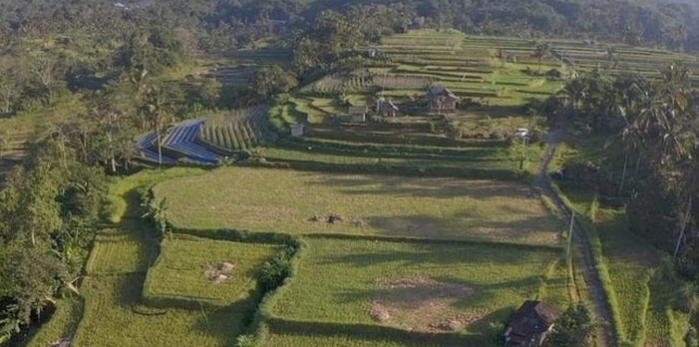 Mengenal Tata Kelola Air & Produk Olahan Bambu di Desa Angseri Bali