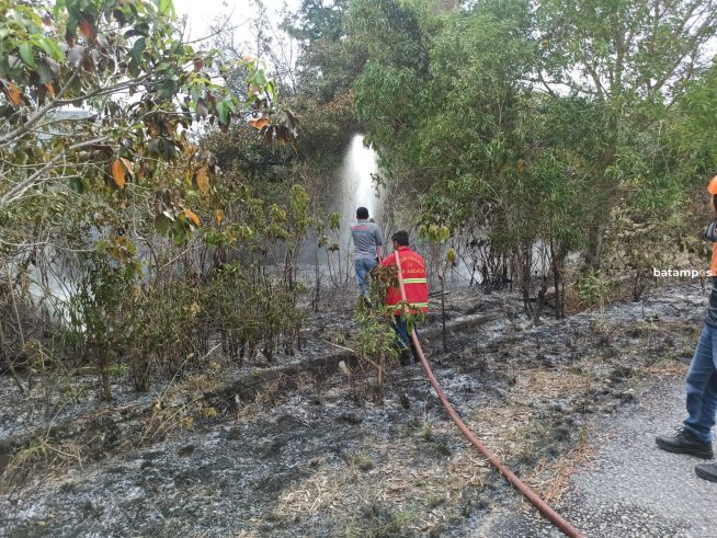 Hutan Lindung di Desa Pongkar Terbakar