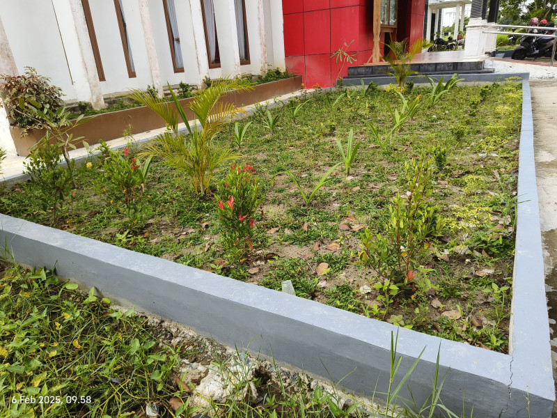 Pembuatan Taman Dinas Perpustakaan dan Kearsipan Rohil Disoal, Kadis Bungkam