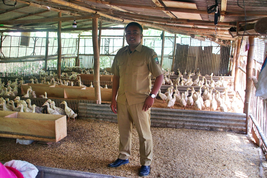 Mewujudkan Desa Purworejo Blora Penghasil Bebek Pedaging dan Petelur