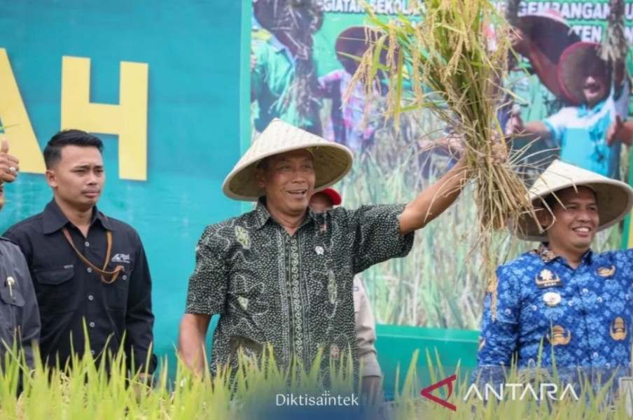 Wamendiktisaintek dukung kolaborasi pendidikan tinggi demi bangun desa