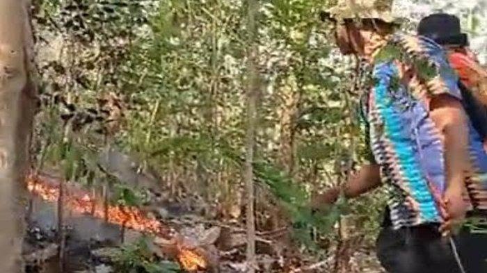 Hutan di Desa Betak Tulungagung Terbakar, Api Melahap 6 Hektar Lahan