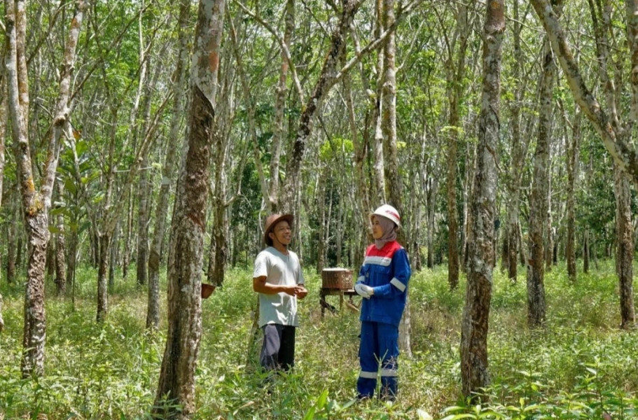 Desa Pagardewa di Muara Enim jadi kawasan ekowisata
