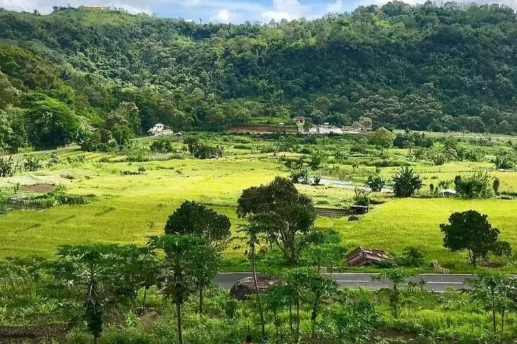 Salah Satunya di Ende, Berikut Sembilan Desa Terkaya di Indonesia