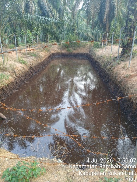 Yayasan Mapelhut Jaya Kecewa Surat Permohonan Pemeriksaan PT KSM Belum Mendapat Tanggapan DLH Rohul