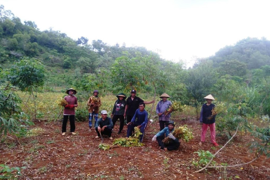 Tanah Kas Desa di Gunungkidul Dimanfaatkan untuk Budidaya Pertanian
