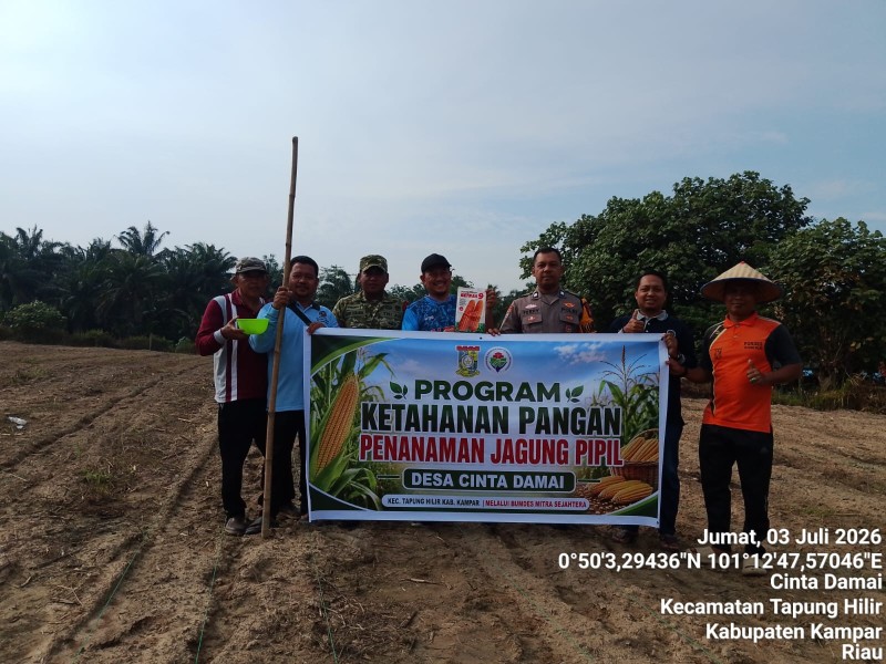 Dukung Ketahanan Pangan Nasional, Polsek Tapung Hilir Hadiri Penanaman Jagung Pipil di Desa Cinta Damai