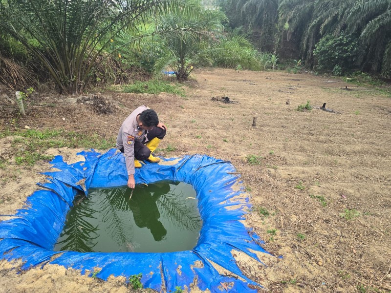Kelompok Tani Minas Barat Siapkan Embung Air untuk Dukung Program Ketahanan Pangan Jagung