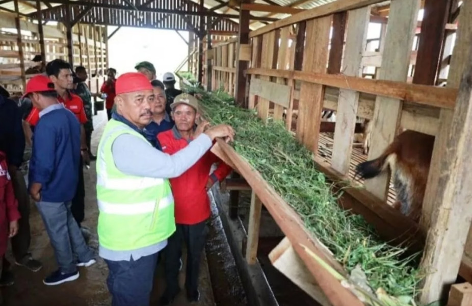Bupati Kukar: Desa percontohan pertanian harus tularkan ke desa lain