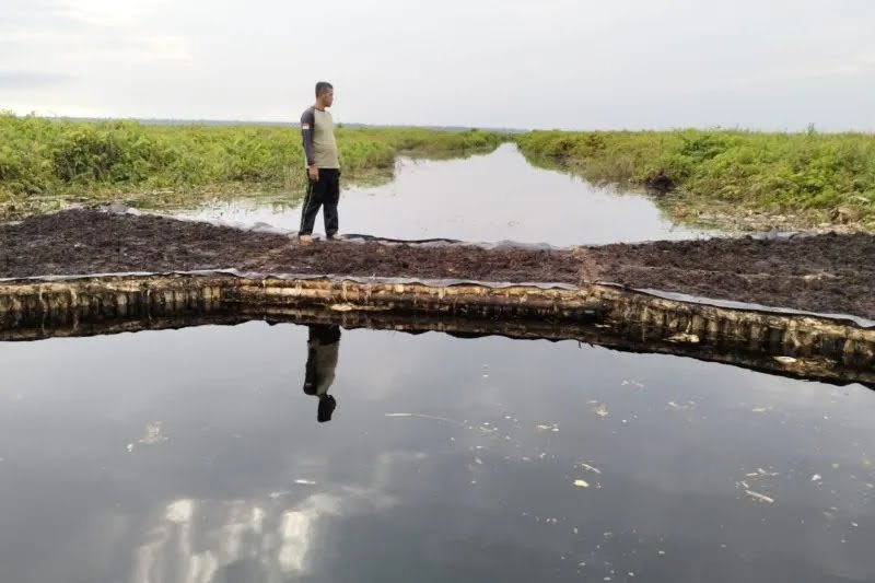 Kelompok Masyarakat Gambut akui pemanfaatan sekat kanal atasi karhutla