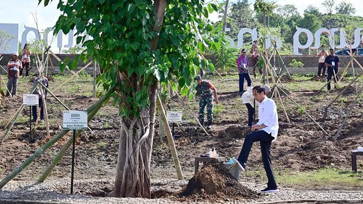 Jokowi Klaim Aksi Tanam Pohon Langkah Konkret Hadapi Perubahan Iklim