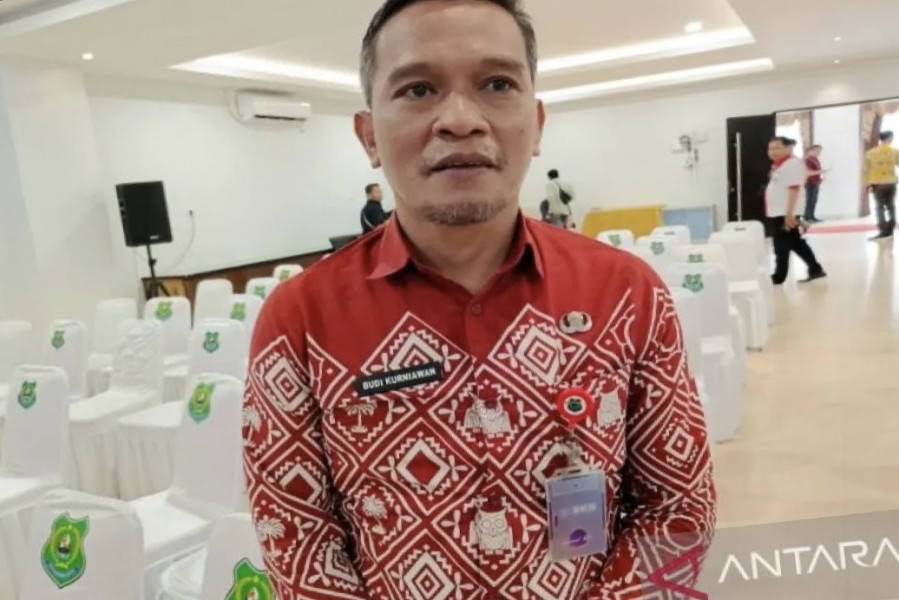 Pemerintah desa di Kapuas didorong optimalkan penerapan Siskeudes
