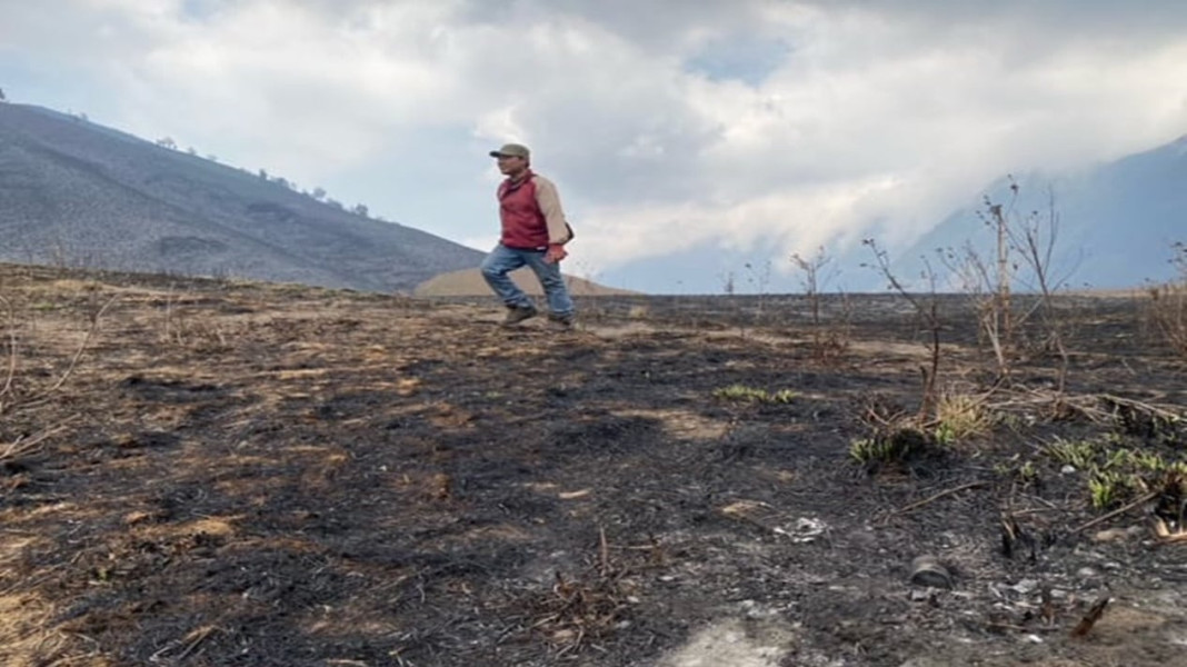 Titik Api Sudah Padam, Luas Area Kebakaran Gunung Bromo Capai 504 Hektar