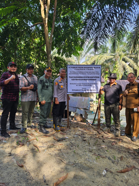 Wow! Kebun Yunus Alias Cong An Segera Dieksekusi, Lalu Bagaimana Dengan Lahan Disebelahnya?!
