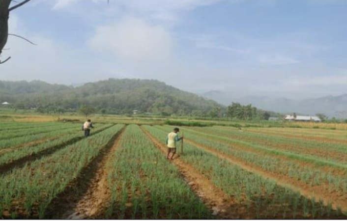 Jos! Satu-satunya di Wonogiri, Seluruh Desa di Selogiri Sudah Berstatus Mandiri