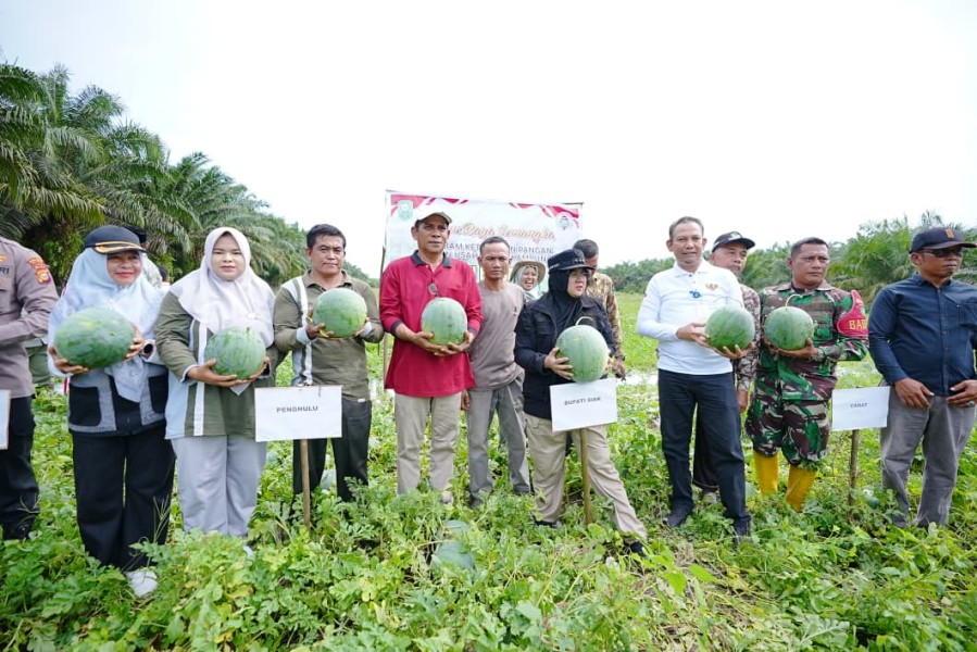 Bupati Siak Afni Apresiasi Pemanfaatan Dana Desa untuk Ketahanan Pangan, Dorong Penguatan Ekonomi Masyarakat